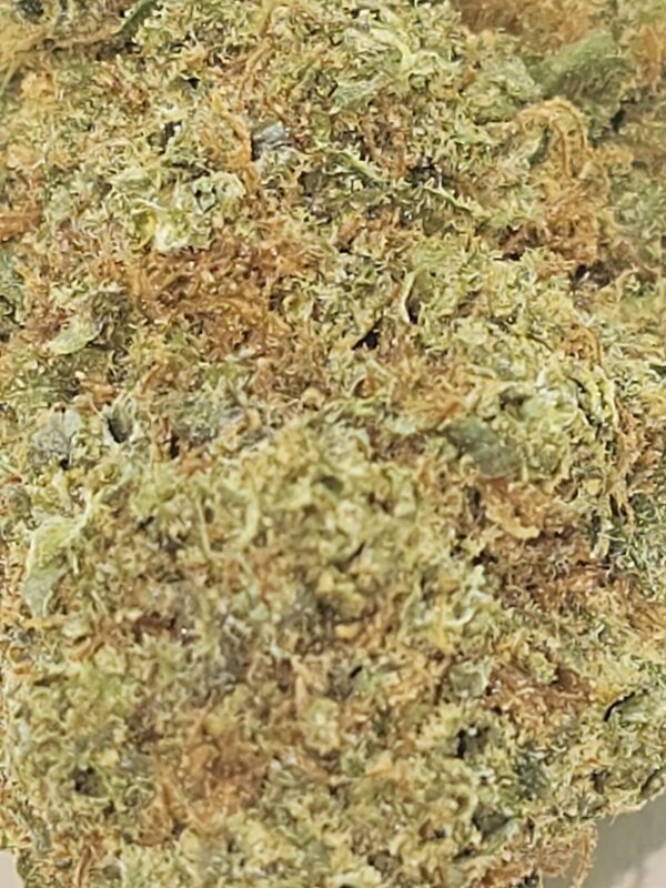 HELADO #41  (AAAA) - Image 3