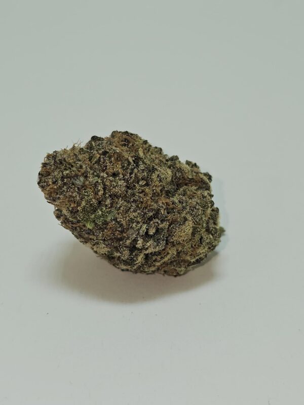 GREASE MONKEY   (AAAA)