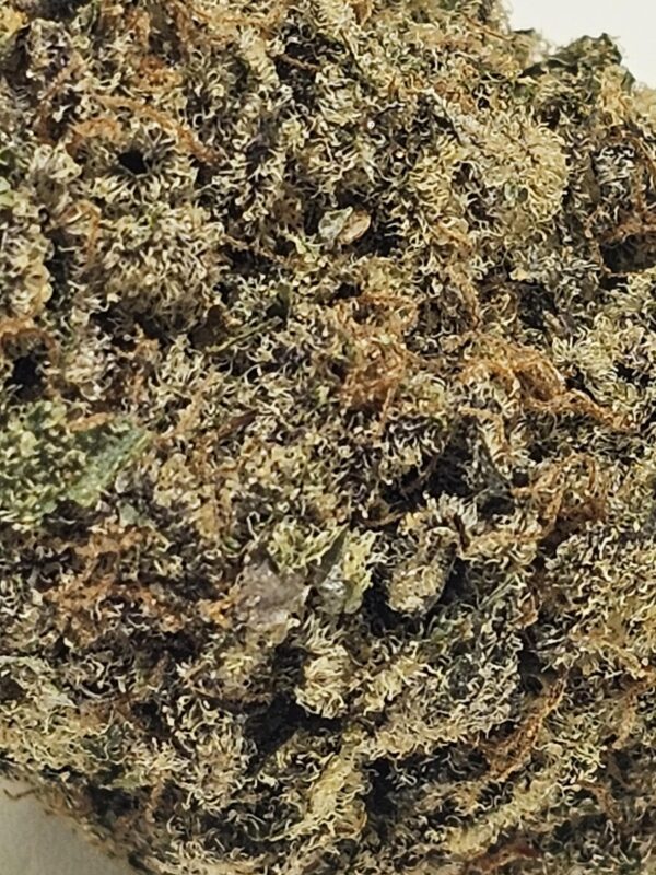 GREASE MONKEY   (AAAA) - Image 3