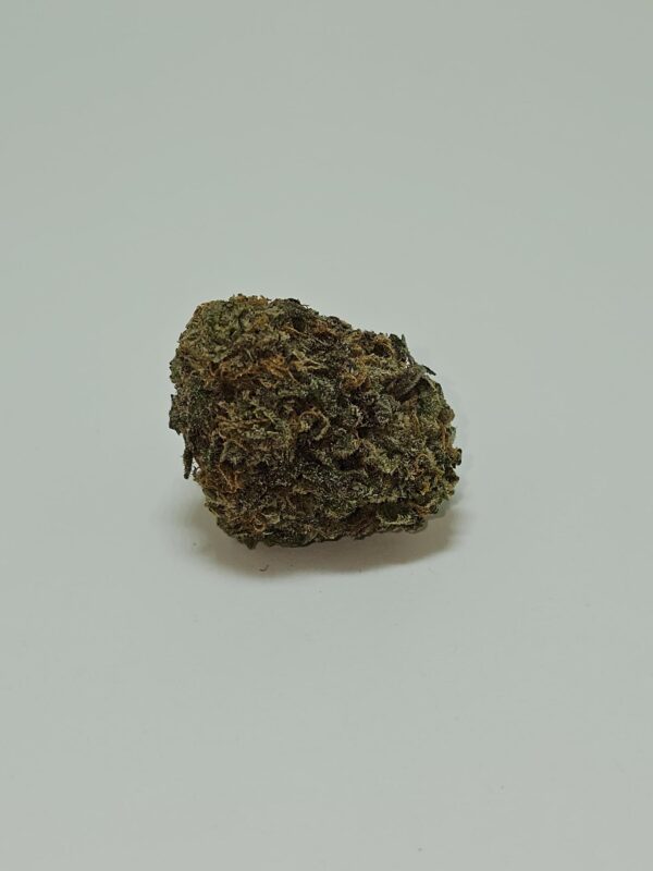 PINK PUNCH  (AA)