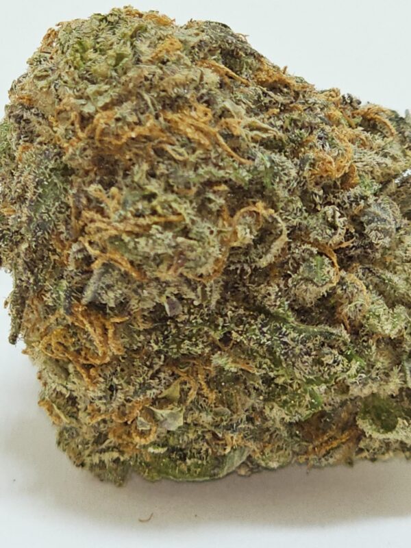 PINK PUNCH  (AA) - Image 2