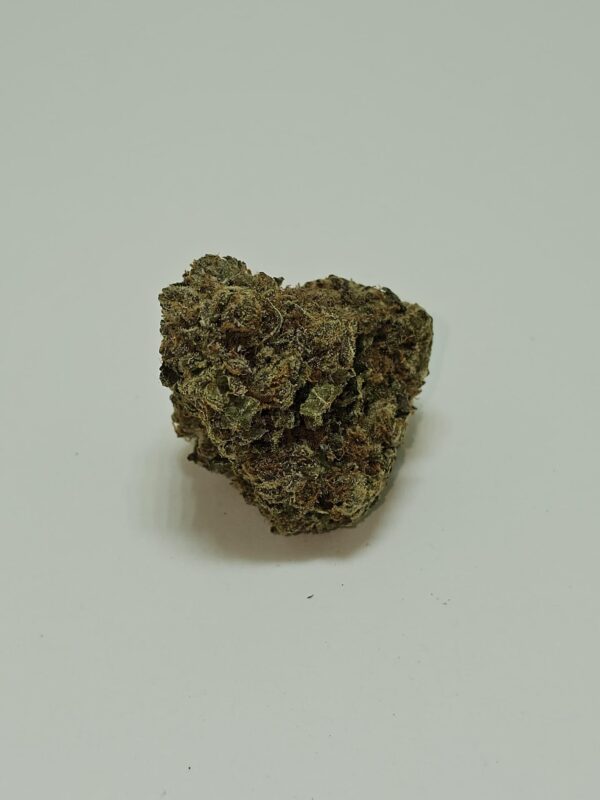 CHOCOLATE MINT  (AA)