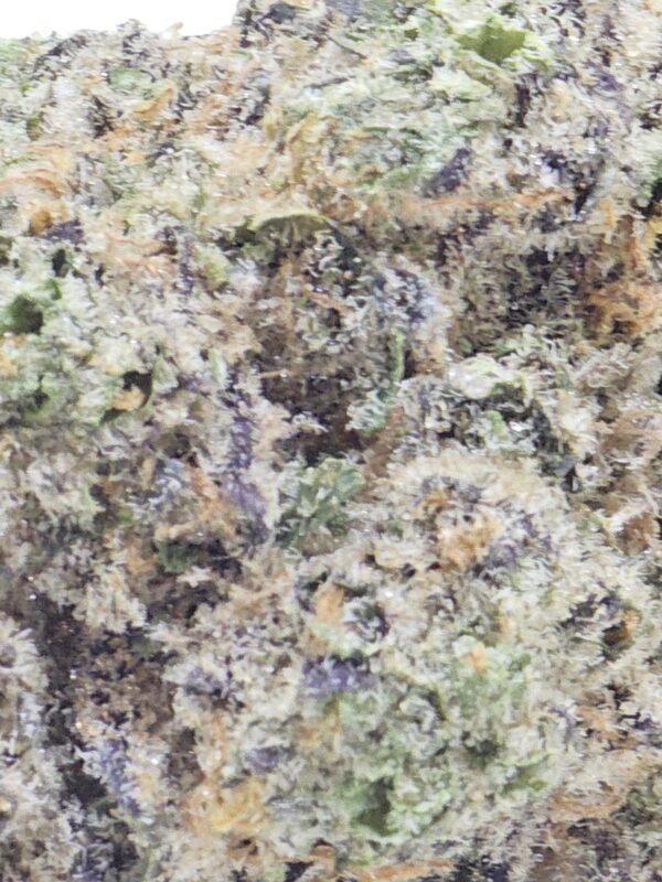 GRAPE MILKSHAKE  (AAAA) - Image 3