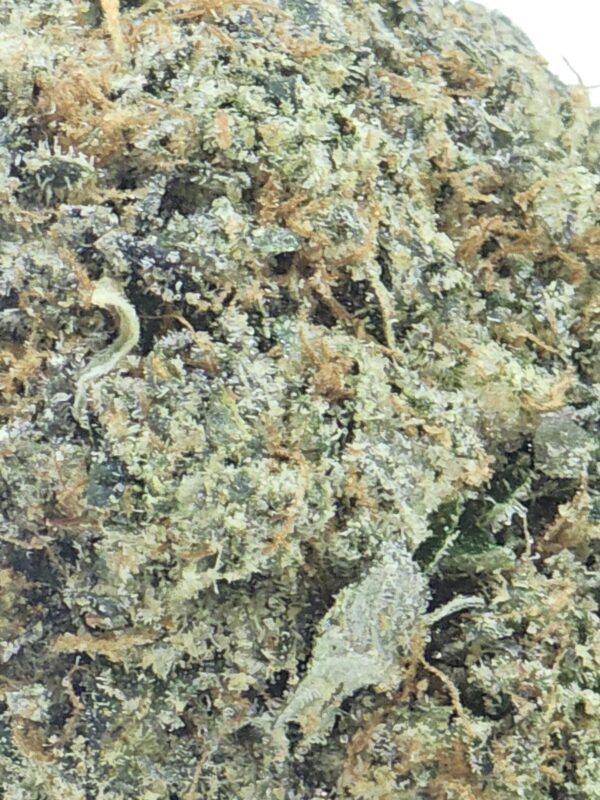 WAGNER OG (AAAA) - Image 3