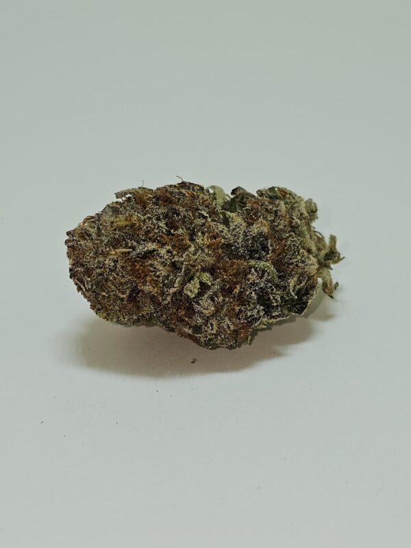 BISCOTTI  (AAA)