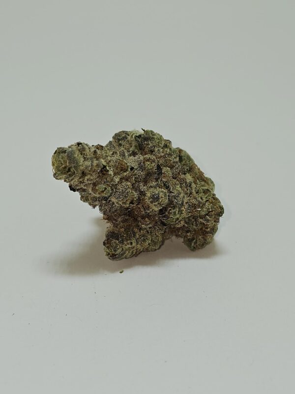 MARTIAN COOKIES  (AAA)