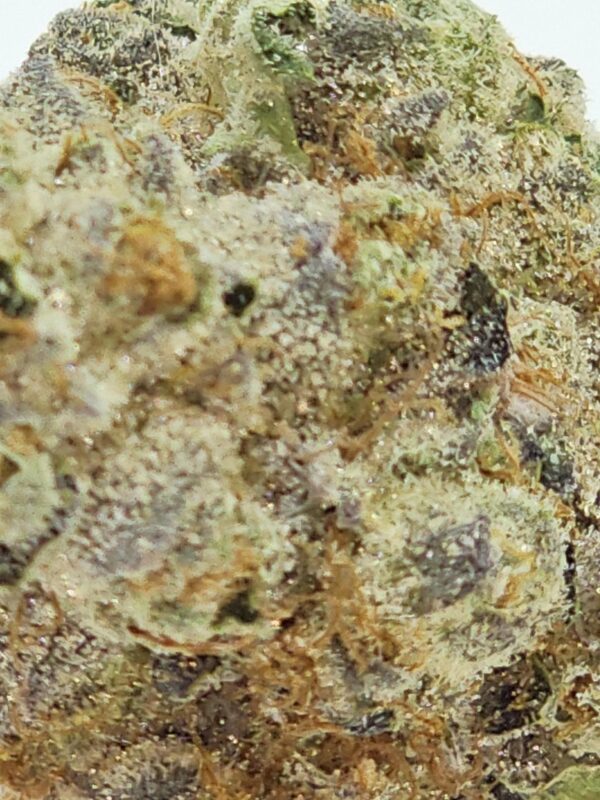 MARTIAN COOKIES  (AAA) - Image 3