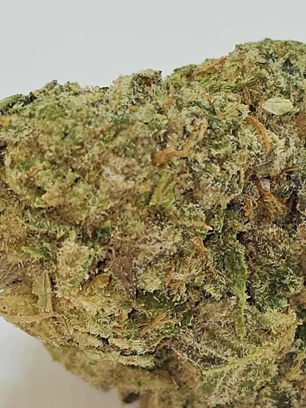 ANIMAL MINT  (AAA) - Image 2