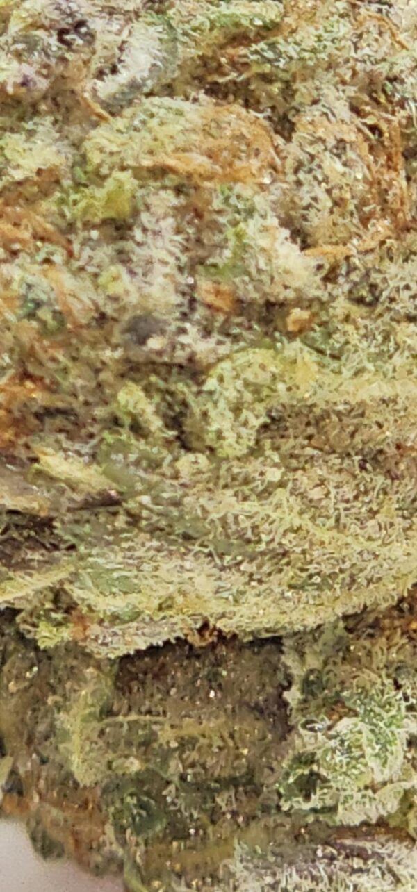 FRUITY OG KUSH  (AA) - Image 3