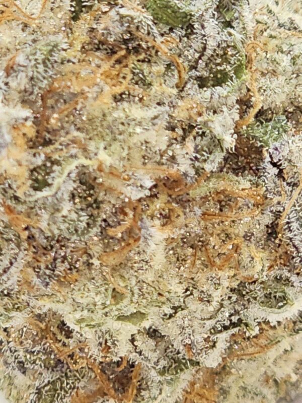 COFFEE KUSH  (AAA) - Image 3