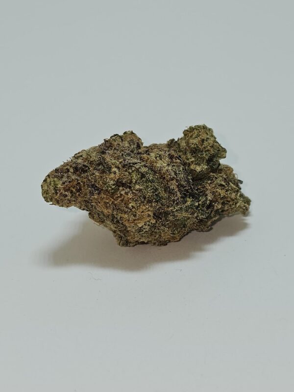 MAC 1  (AAAA)