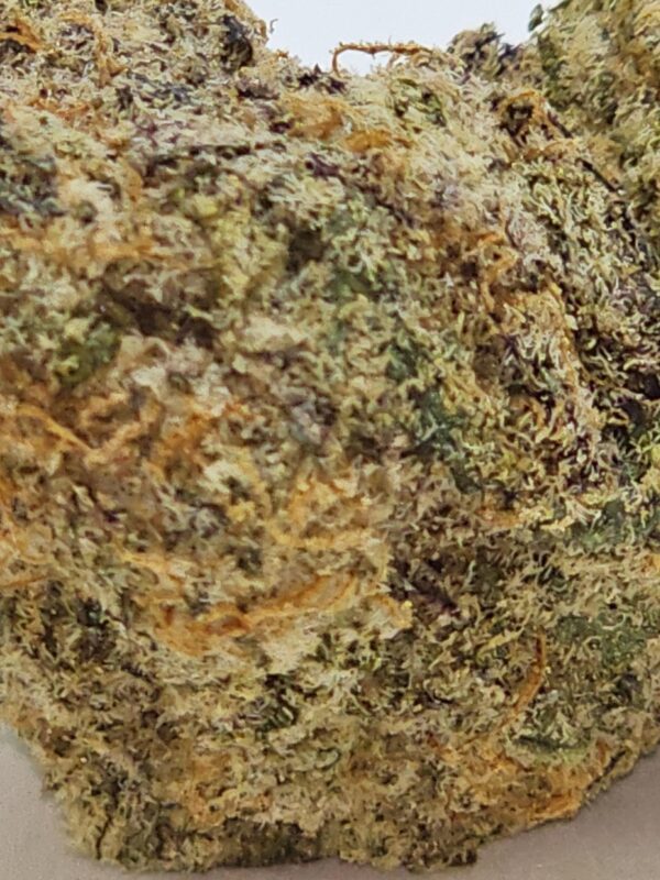 MAC 1  (AAAA) - Image 3