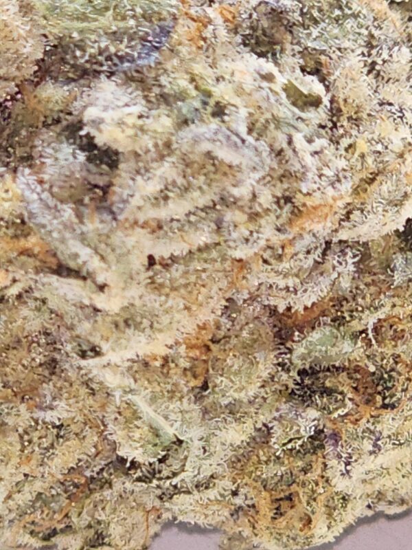 ACAI BERRY GELATO  (AAAA) - Image 3