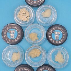 LIVE RESIN, BUDDER, HTFSE (BOUGIE N8TIVE EXTRACTS)