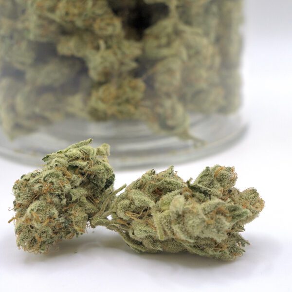 COLUMBIAN GOLD (AAAA)