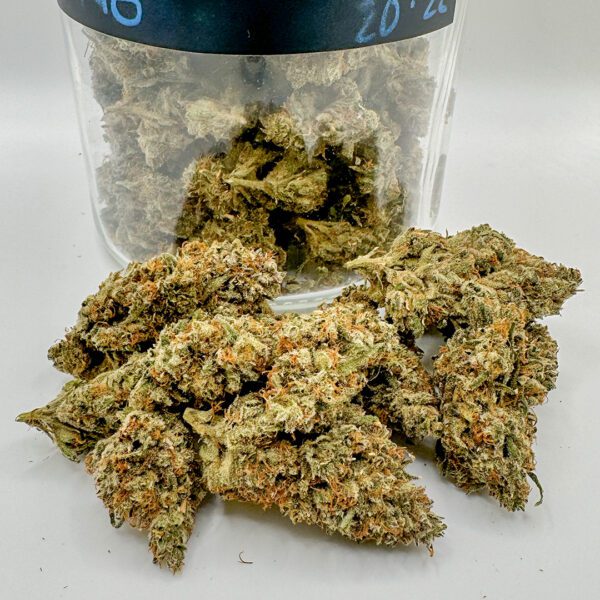 DIESEL ROSE  (AA) - Image 2