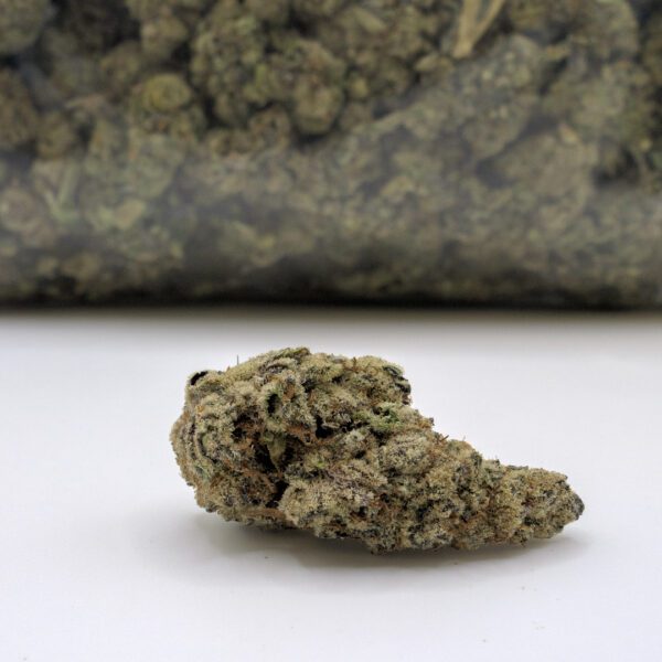 GARLIC SHERBERT (AAAA) - Image 4