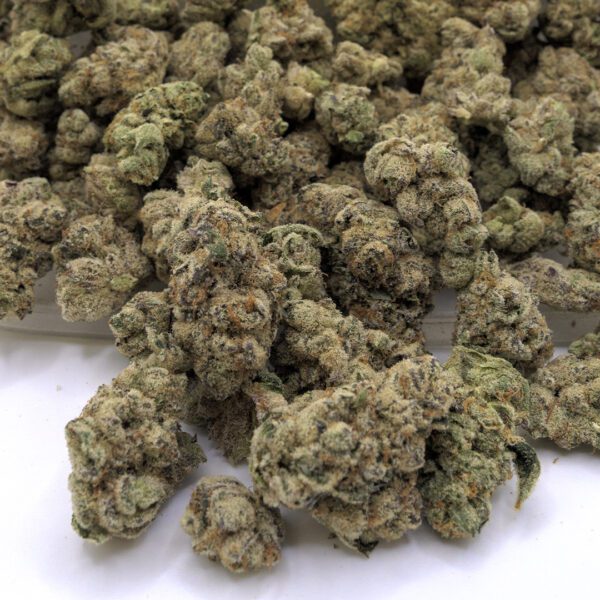 GARLIC SHERBERT (AAAA) - Image 3