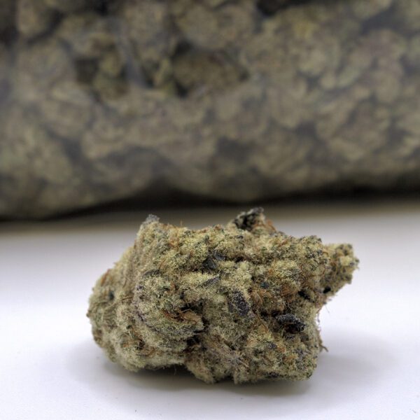GARLIC SHERBERT (AAAA) - Image 2