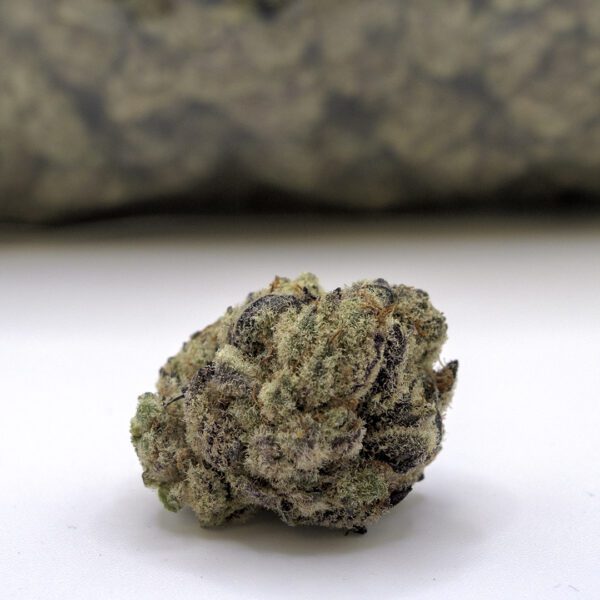 GARLIC SHERBERT (AAAA)