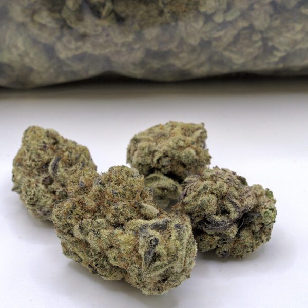 GARLIC SHERBERT (AAAA) - Image 5