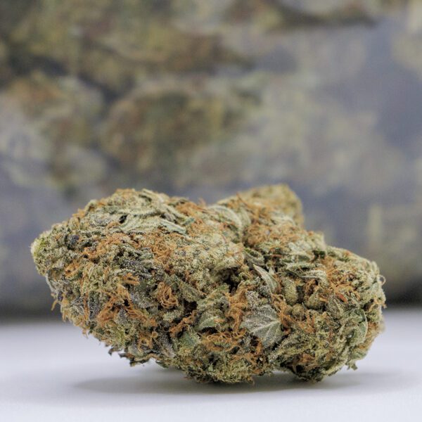 JEDI OG (AA) - Image 3