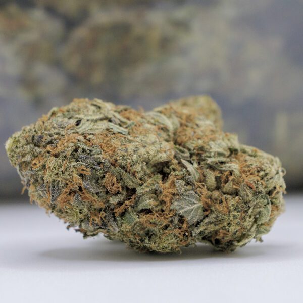 JEDI OG (AA) - Image 2