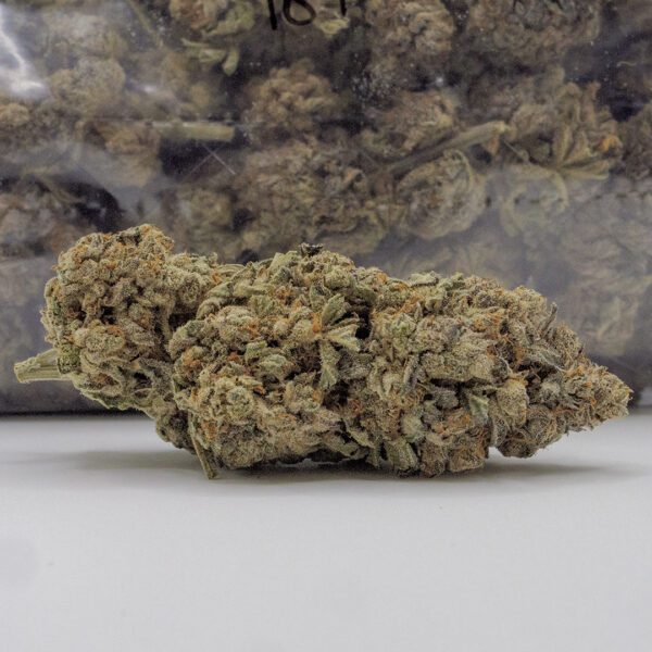 LAVA CAKE (AA)