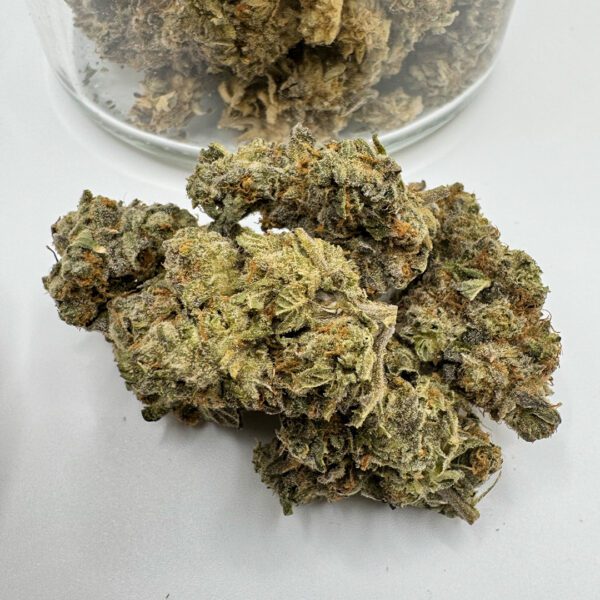 XJ-13 (AA) - Image 3