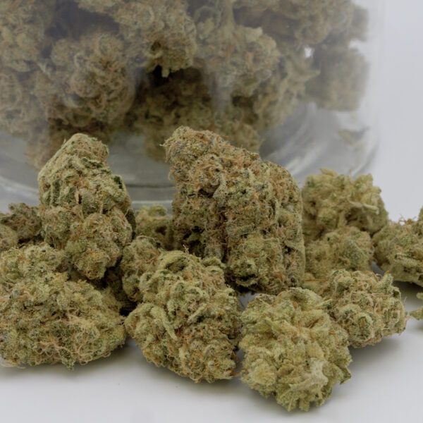 MAUI MANGO DIESEL (AAAA)