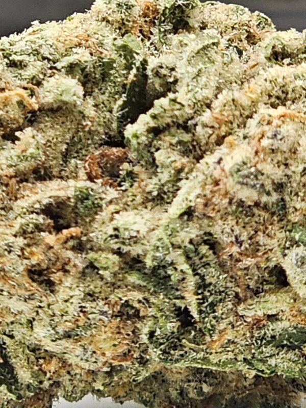 GELATO PUNCH (AAA) - Image 2