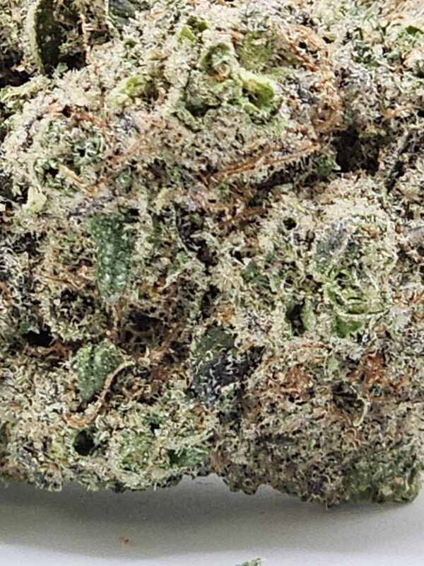 FUNFETTY (AA) - Image 2