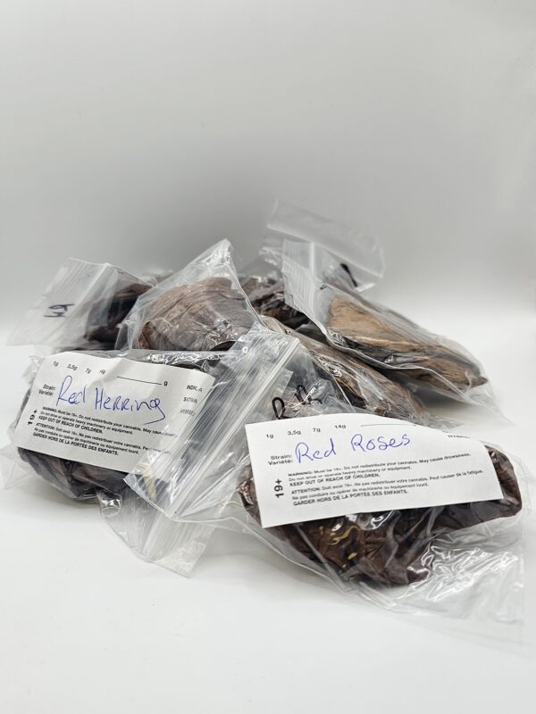 GRABBA - Image 2