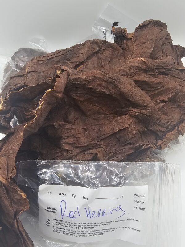 GRABBA - Image 3