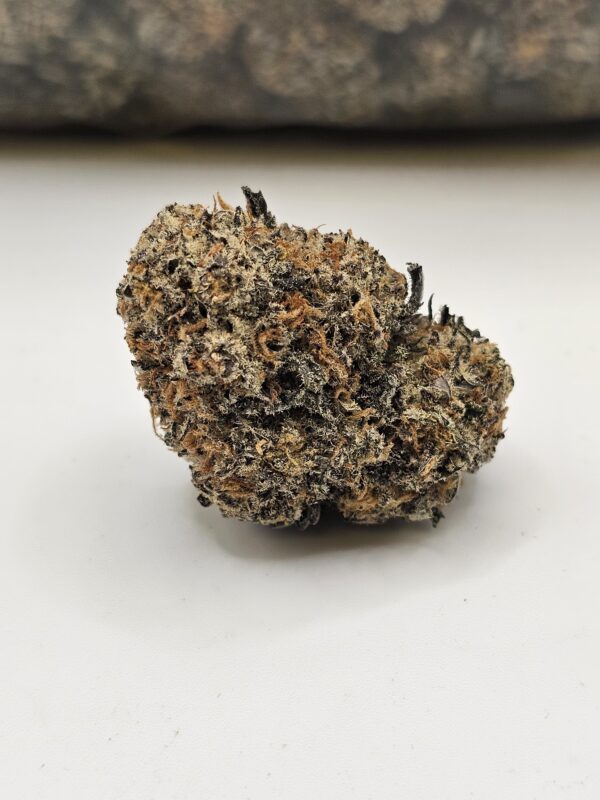 GREASE MONKEY (AAA)
