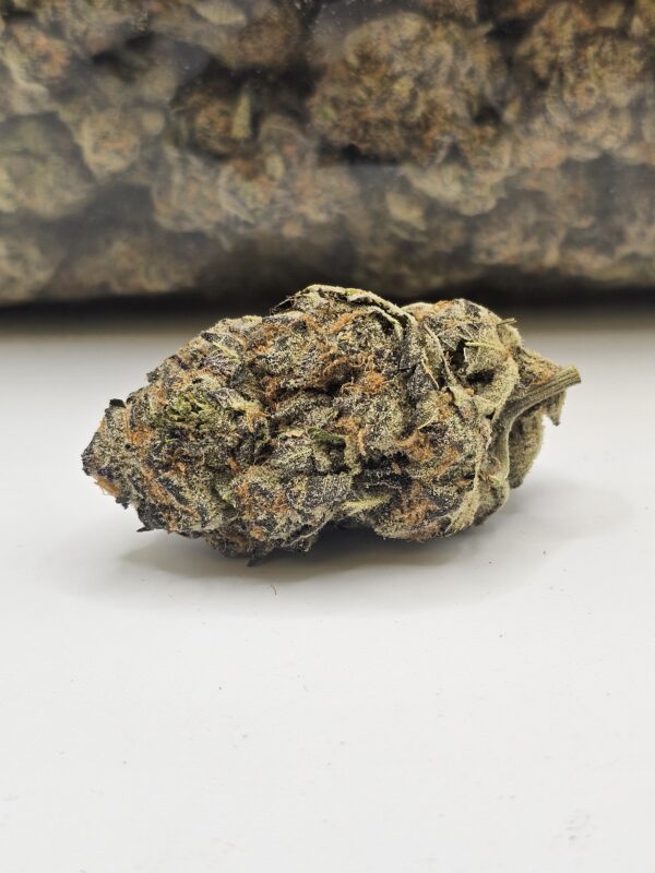 LEMON PIE RUNTZ (AAAA)