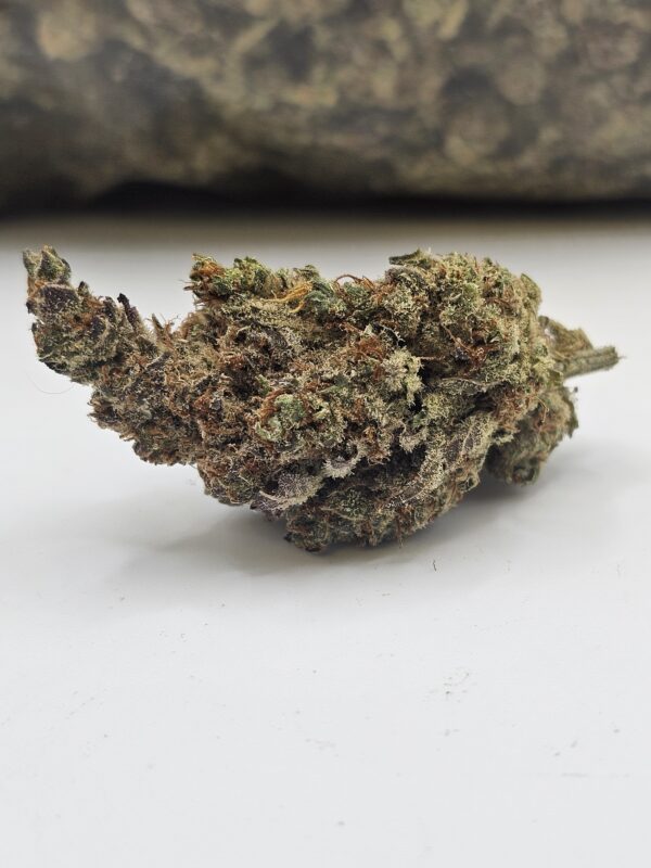 MIMOSA (AAAA)