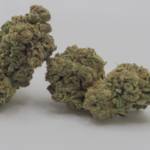 GAZ KUSH (AA)