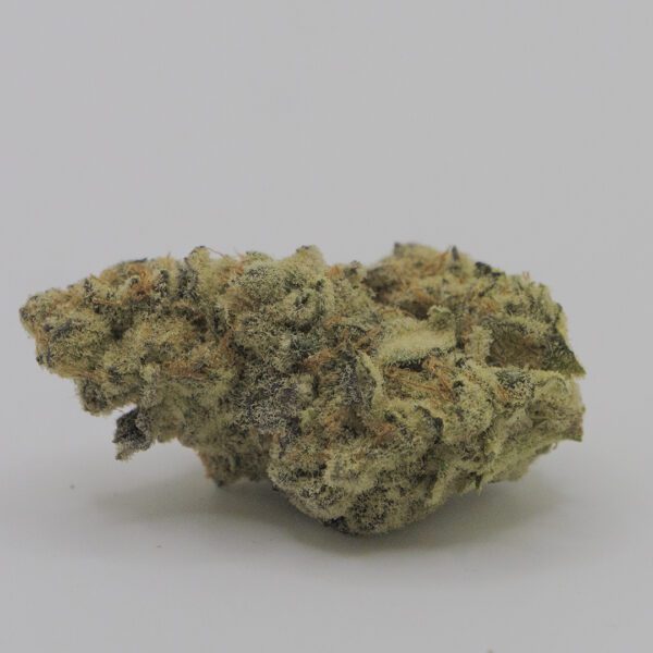 SUGAR CANE (AAA)