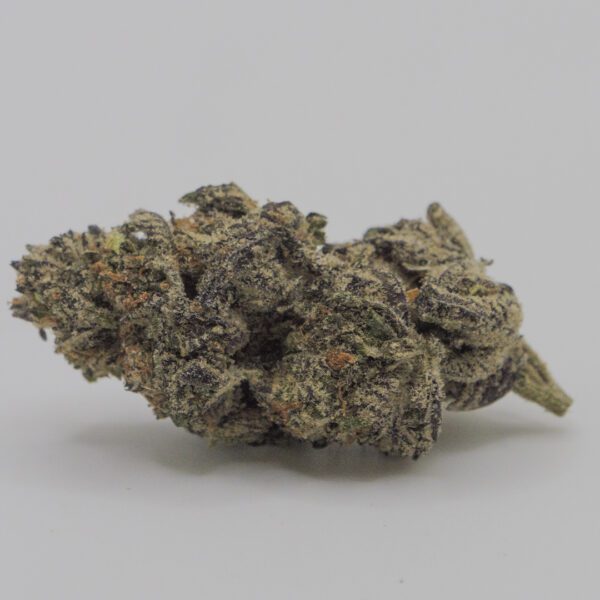 WHITE TRUFFLE (AAA) - Image 2