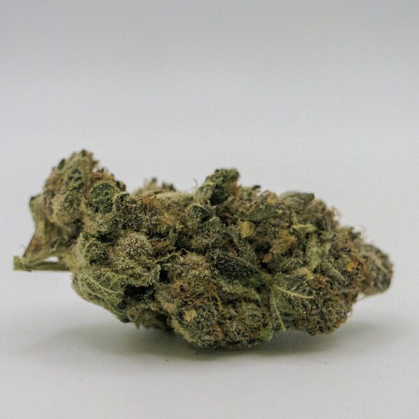 SOUR SPRITE  (AA)