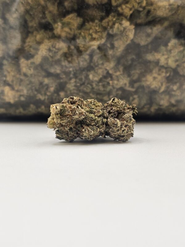 BLACK CAVIAR (AA) - Image 2