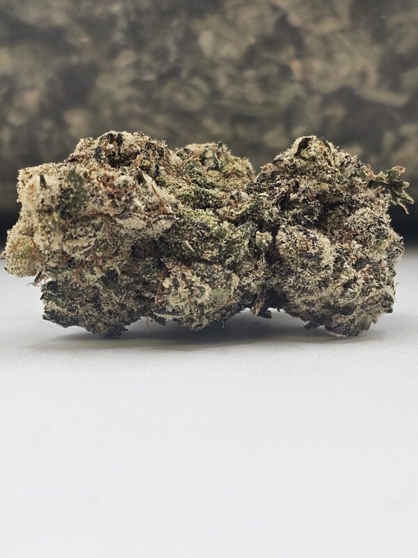 BLACK CAVIAR (AA)