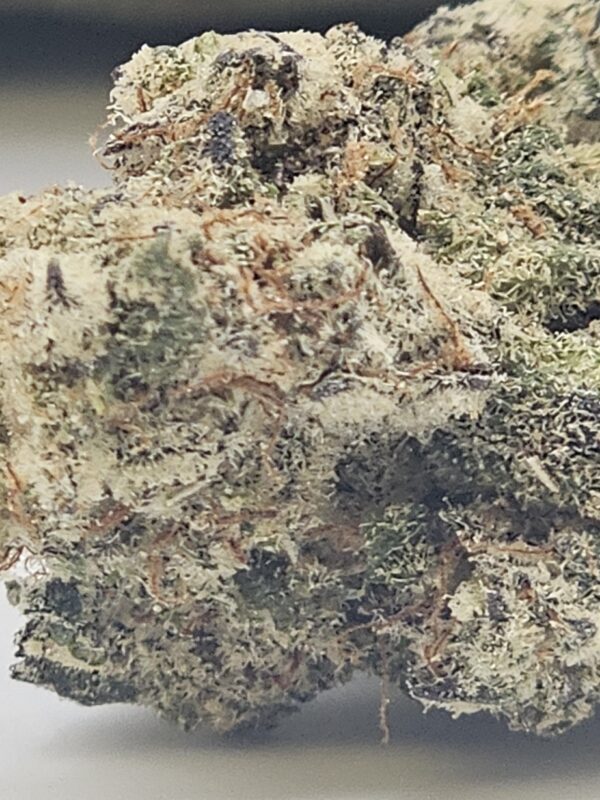 BLACK CAVIAR (AA) - Image 3
