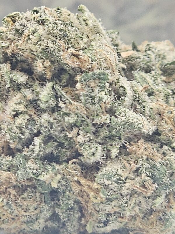 FRUITY PEBBLE  (AA) - Image 3