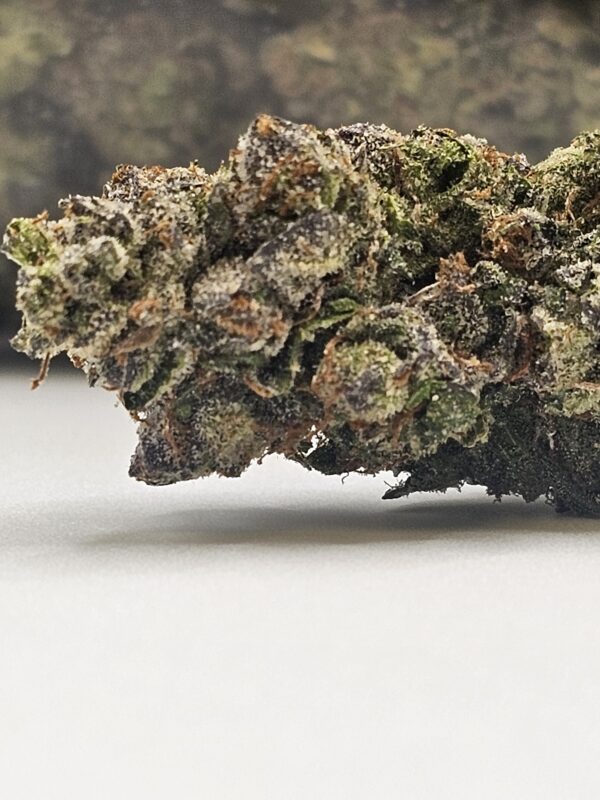 PURPLE HEART (AAA) - Image 2
