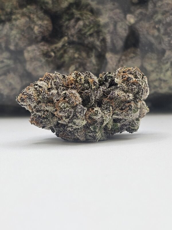 SHIVA SKUNK (AAA)