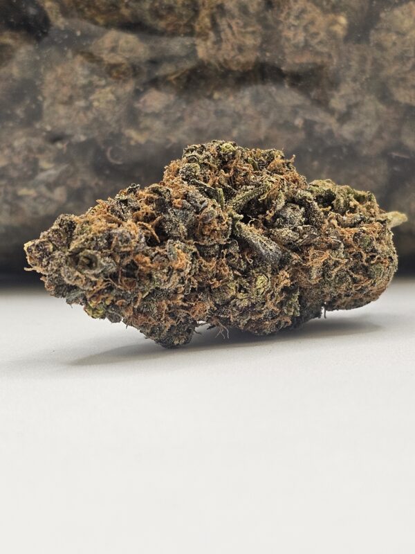 ALIEN COOKIE  (AAA)