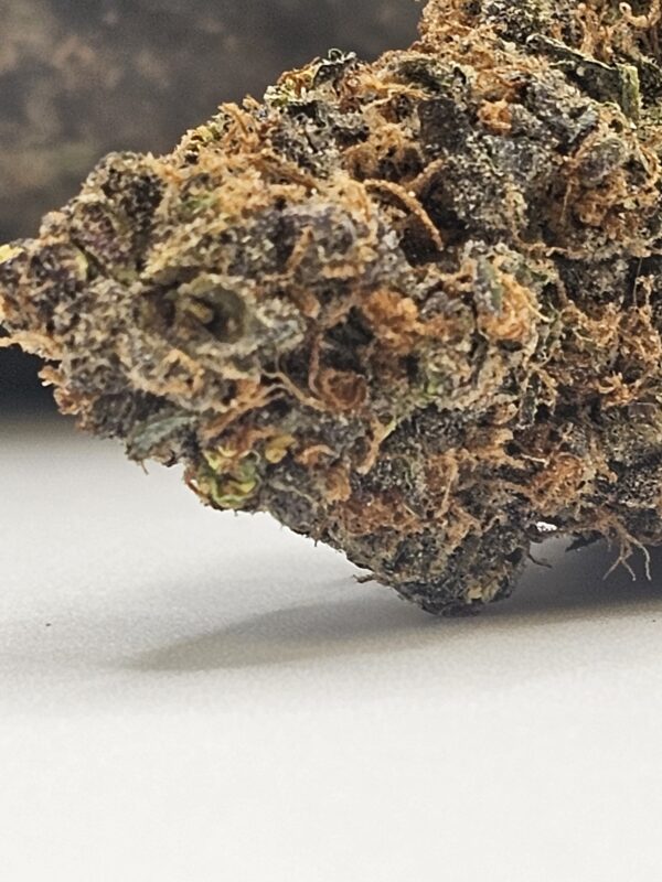 ALIEN COOKIE  (AAA) - Image 2