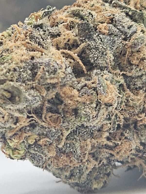ALIEN COOKIE  (AAA) - Image 3